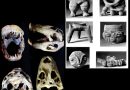 Realizan Primer Simposio de Investigación en Arqueología y Paleontología de Venezuela
