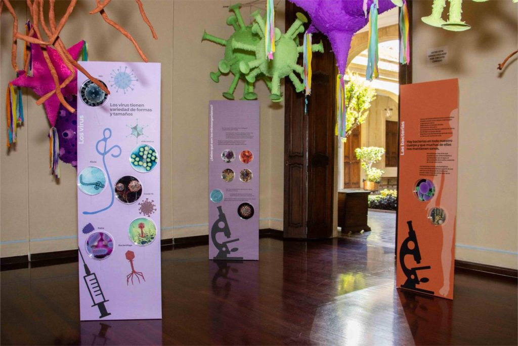 La Casa de Estudio de la Historia de Venezuela inaugura la exposición Microorganismos