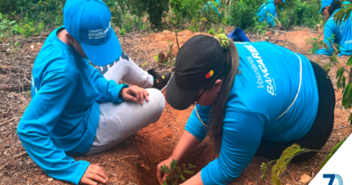Voluntariado Bancaribe sembró 70 plantas en el Jardín Botánico de la UCV