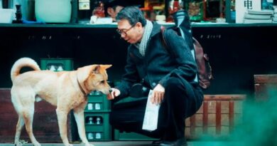 “Hachiko 2”: la película que te hará abrazar a tu mascota