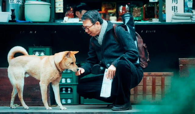 “Hachiko 2”: la película que te hará abrazar a tu mascota