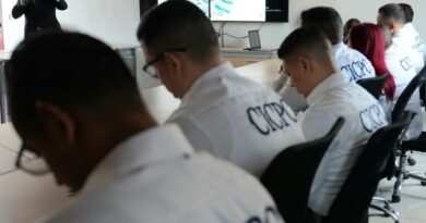 Inteligencia Artificial e Investigación Penal de Delitos Informáticos