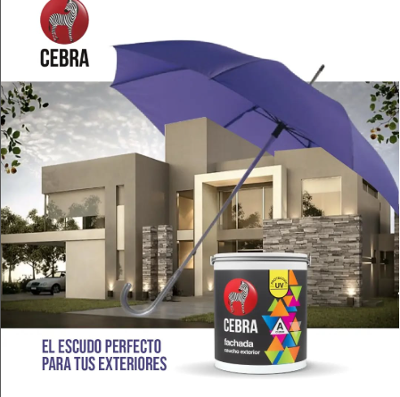 pinturas cebra