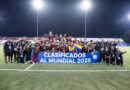 Vinotinto