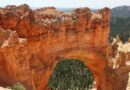 El Día de la Tierra: Una Celebración Global de Conciencia Ambiental en Más de 190 Países