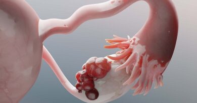 Mayo: mes internacional del cáncer de ovario                       