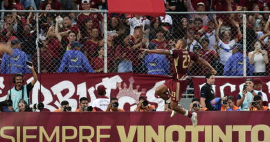 Vinotinto