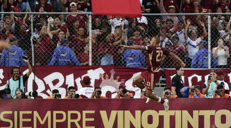 Vinotinto