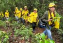 Epanos y comunidad sembraron más de 800 plantas