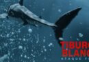 Tiburón Blanco: Suspenso desde las profundidades del mar Caribe