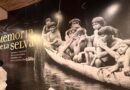 Memoria de la Selva