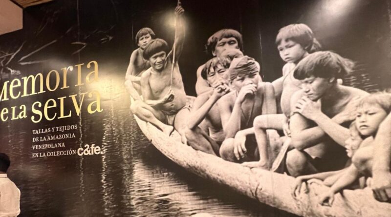 Memoria de la Selva