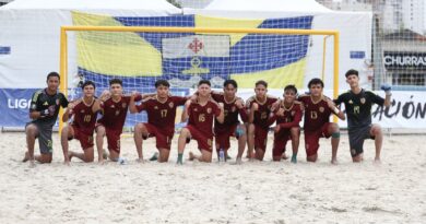 Vinotinto