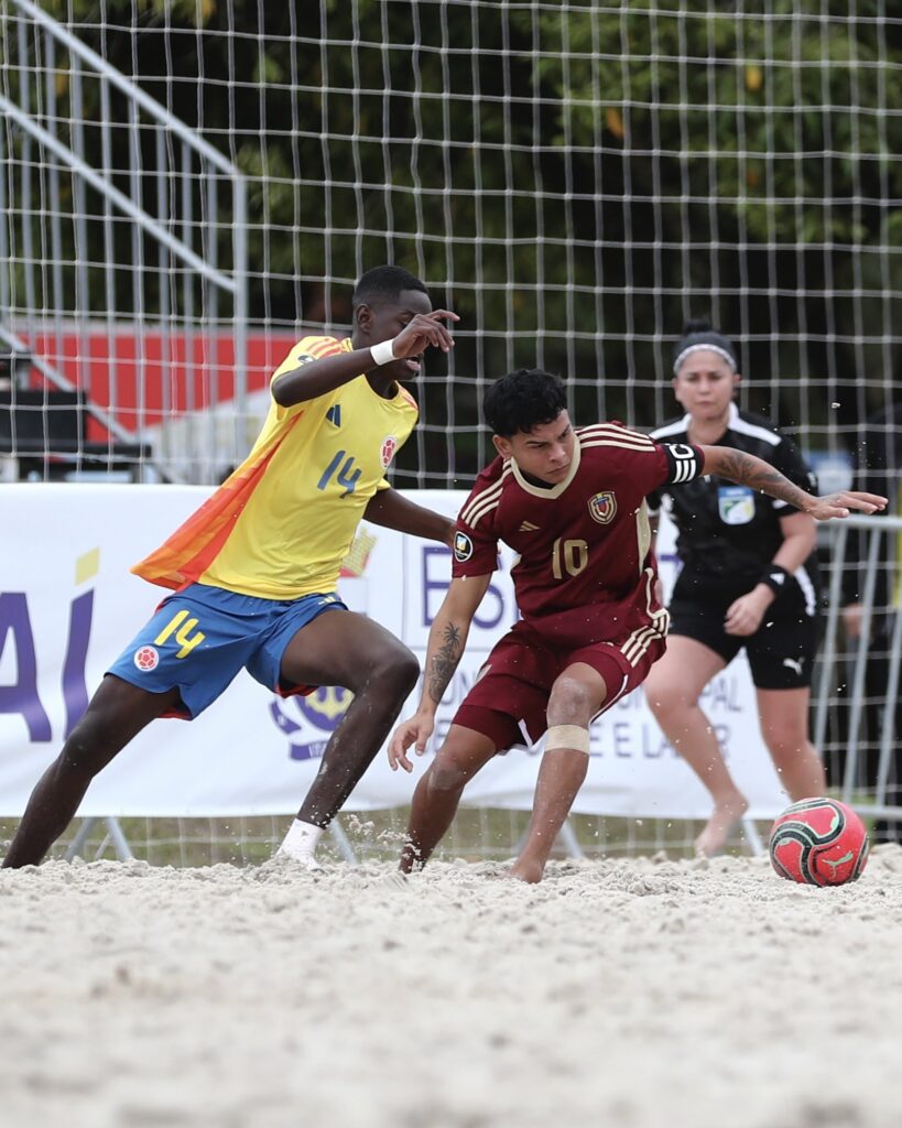 Vinotinto