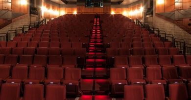 Festival de Artes Escénicas Franco Venezolano