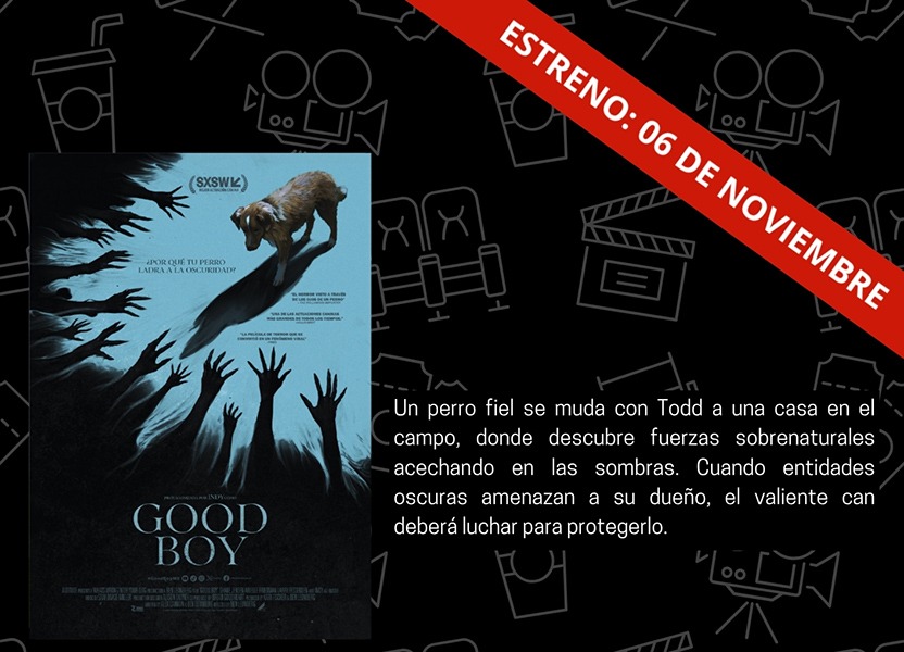 Good Boy”: el perro héroe que enfrenta fantasmas en cartelera