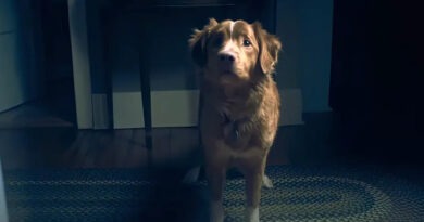 “Good Boy”: cuando el perro es un cazafantasmas