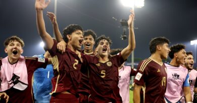 Vinotinto