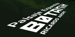 artista visual Ricardo Arispe