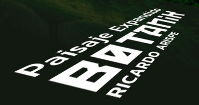 artista visual Ricardo Arispe