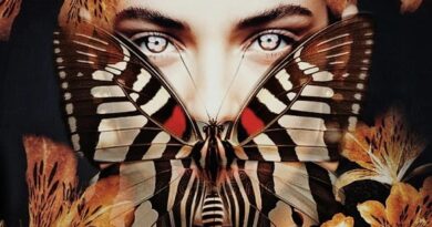 Metamorfosis de una flor: Nebula en Ruta Cultural Tquilez 