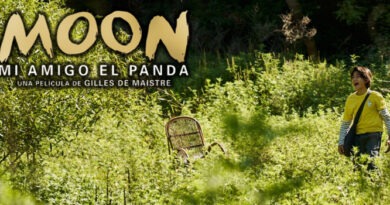 Moon, mi amigo el panda: Una amistad real e inolvidable