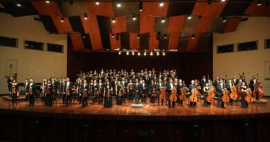 Ciclo de conciertos: Protagonistas de la OSMC 