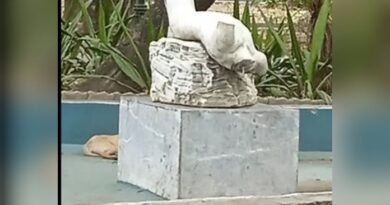 Narciso sin reflejo: El dolor de un patrimonio mutilado