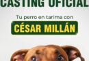 Expo Mascotas 2026: ¡Cesar Millán abre Casting Oficial!