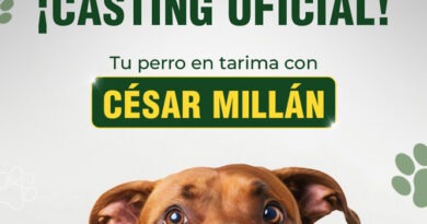 Expo Mascotas 2026: ¡Cesar Millán abre Casting Oficial!