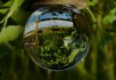 Día de la Tierra 2026: “Nuestro poder, nuestro planeta” marca un enfoque global de acción climática
