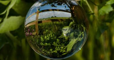 Día de la Tierra 2026: “Nuestro poder, nuestro planeta” marca un enfoque global de acción climática