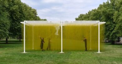 Exponen por primera vez un penetrable del maestro Jesús Soto en el Serpentine de Londres