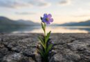 La vida continúa: resiliencia tras la tragedia