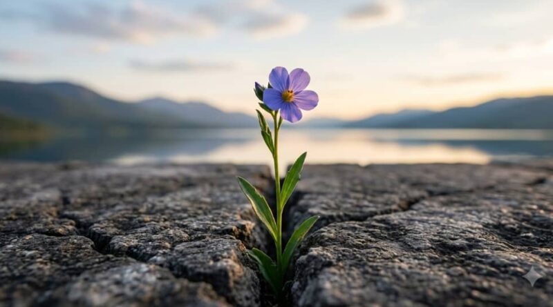 La vida continúa: resiliencia tras la tragedia