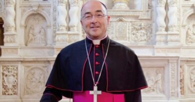 Santuario de Fátima en Carrizal acogerá misa en honor a víctimas del terremoto Santuario de Fátima en Carrizal acogerá misa en honor a víctimas del terremoto