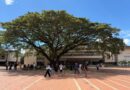 UNIMET destaca en el Top 10% laboral del Ranking QS  2027